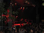IMG_6789