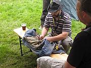 IMG_6823