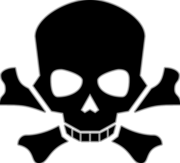 bones-1294357_1280 Kopie