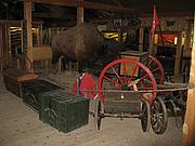IMG_0109